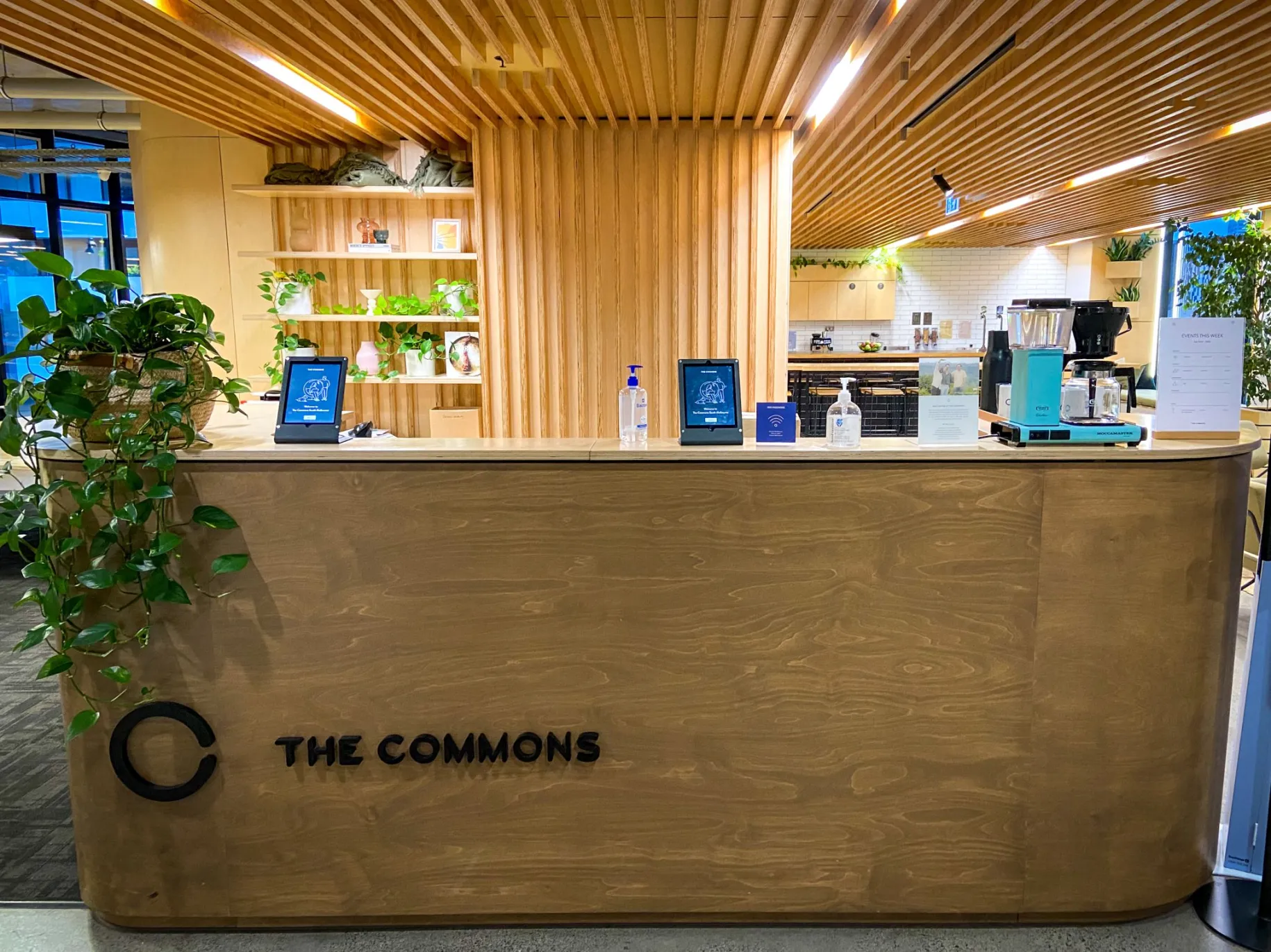 The Commons